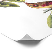 ヴィンテージオードボンノーザン(鳥)ショウジョウコウカンチョウ絵画ズ ポスター (角)