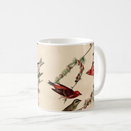 ヴィンテージオードボンパープルフィンチ絵画バーズギフト コーヒーマグカップ (正面右)