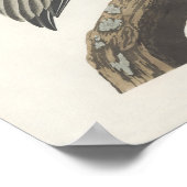 ヴィンテージオードボンブラウンペリカンポスターアート ポスター (角)