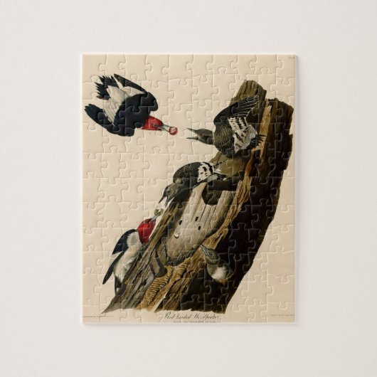 ヴィンテージオードボンレッドヘッドウッドペッ絵画カー ジグソーパズル (縦)