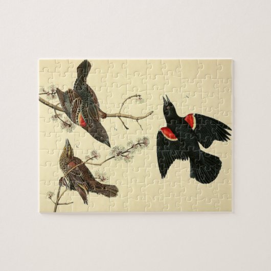 ヴィンテージオードボン赤い翼の絵画ブラックバード ジグソーパズル (横)