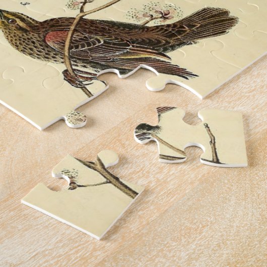ヴィンテージオードボン赤い翼の絵画ブラックバード ジグソーパズル (側面)