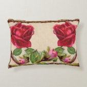 ヴィンテージオールドバラ素朴ビクトリアンアンティーク アクセントクッション (正面)