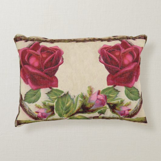 ヴィンテージオールドバラ素朴ビクトリアンアンティーク アクセントクッション (正面)