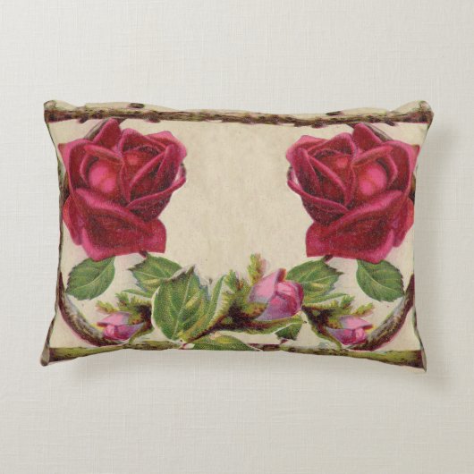 ヴィンテージオールドバラ素朴ビクトリアンアンティーク アクセントクッション (裏面)