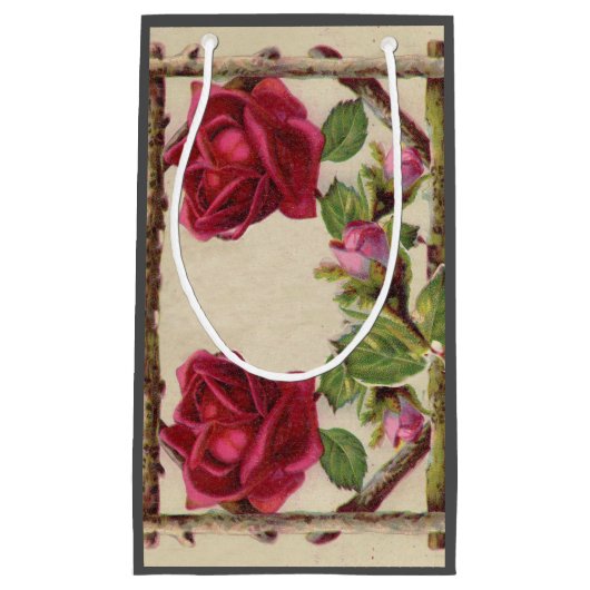 ヴィンテージオールドバラ素朴ビクトリアンアンティーク スモールペーパーバッグ (正面)