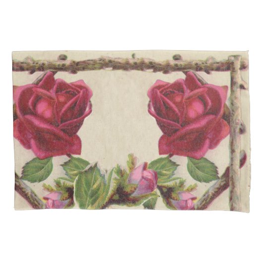 ヴィンテージオールドバラ素朴ビクトリアンアンティーク 枕カバー (正面)