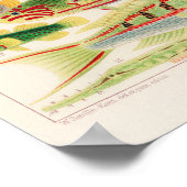 ヴィンテージオ素晴らしーストラリアリーフフィッシュ6 ポスター (角)