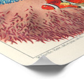 ヴィンテージオ素晴らしーストラリアリーフフィッシュ7 ポスター (角)