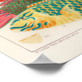 ヴィンテージオ素晴らしーストラリア礁フィッシュズポスター ポスター (角)