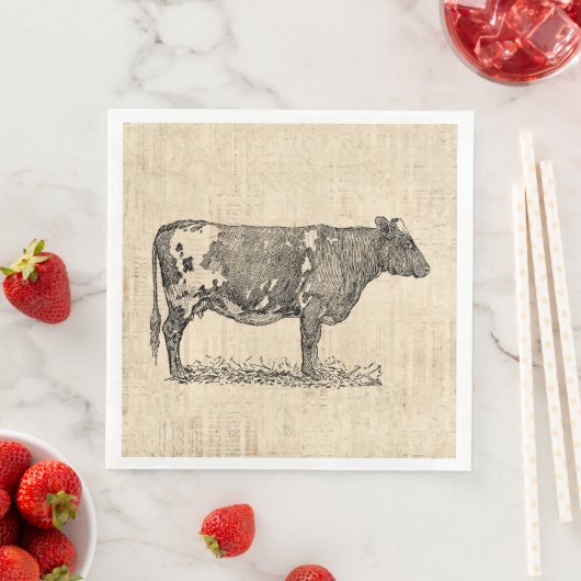 ヴィンテージカウアートイラストレーションとスクリプトの背景 (インサイチュ)