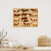 ヴィンテージカウカーフブル乳牛ファームイラストレーション ポスター (キッチン)