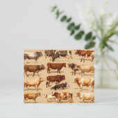 ヴィンテージカウカーフブル乳牛ファームイラストレーション ポストカード (スタンド正面)