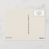 ヴィンテージカウボーイ17 ポストカード (裏面)