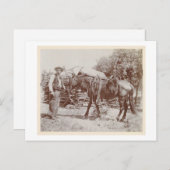 ヴィンテージカウボーイ1900 ポストカード (正面/裏面)