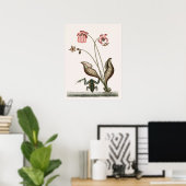 ヴィンテージカエルイラストレーション ポスター (ホームオフィス)