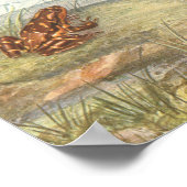 ヴィンテージカエル解剖図ポスター ポスター (角)