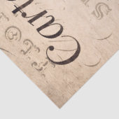 ヴィンテージカエル&バタフライフランスのフローラ 薄葉紙 (詳細)