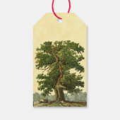 ヴィンテージカスタムオークツリー蔵書票ラベル ギフトタグ (裏面)