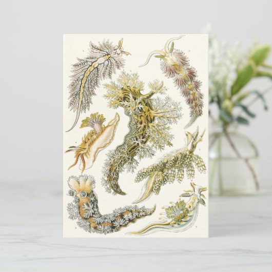 ヴィンテージカタツムリと海のナメクジbyエルンスト・ヘイケル (スタンド正面)