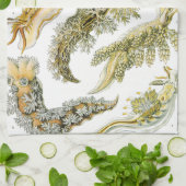 ヴィンテージカタツムリと海のナメクジbyエルンスト・ヘイケル キッチンタオル (折り畳み)