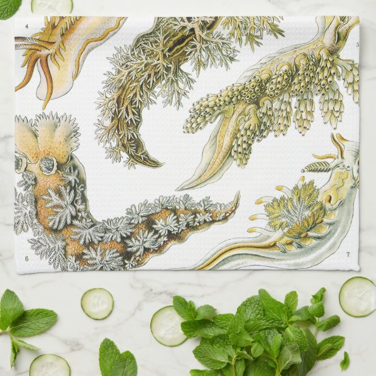 ヴィンテージカタツムリと海のナメクジbyエルンスト・ヘイケル キッチンタオル (折り畳み)