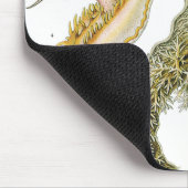 ヴィンテージカタツムリと海のナメクジbyエルンスト・ヘイケル マウスパッド (コーナー)