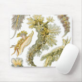 ヴィンテージカタツムリと海のナメクジbyエルンスト・ヘイケル マウスパッド (マウス)