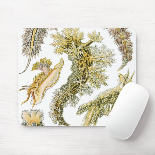 ヴィンテージカタツムリと海のナメクジbyエルンスト・ヘイケル マウスパッド (マウス)