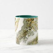 ヴィンテージカタツムリと海のナメクジbyエルンスト・ヘイケル マグカップ (中央)