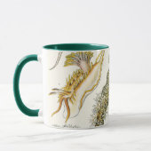 ヴィンテージカタツムリと海のナメクジbyエルンスト・ヘイケル マグカップ (左)