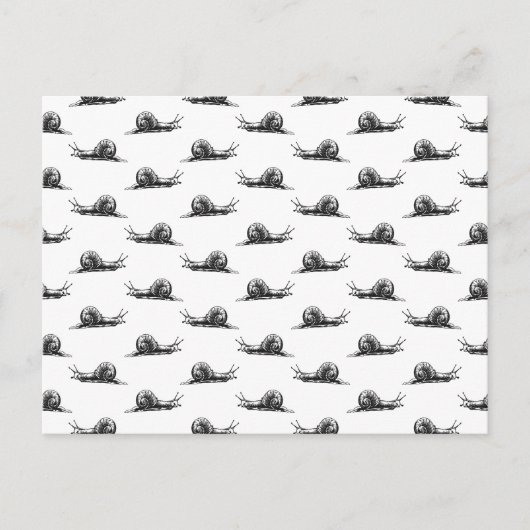 ヴィンテージカタツムリカスタムアート背景色 ポストカード (正面)