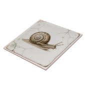 ヴィンテージカタツムリ陶磁器タイル タイル (側面)