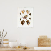 ヴィンテージカタツムリ、軟体動物海洋生物 ポスター (キッチン)