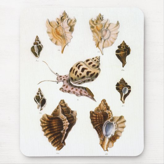 ヴィンテージカタツムリ、軟体動物海洋生物 マウスパッド (正面)