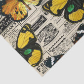 ヴィンテージカタログと蝶の分離 薄葉紙 (詳細)