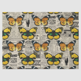 ヴィンテージカタログと蝶の分離 薄葉紙