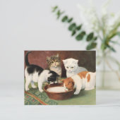 ヴィンテージカツェンウントミルチ ポストカード (スタンド正面)