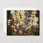 ヴィンテージカナダワイルドフラワーズバイトム・トムソン ポストカード (正面/裏面)