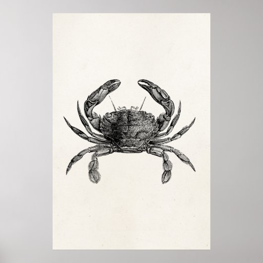 ヴィンテージカニアンティークカニパーソナライズされたテンプレート ポスター (正面)