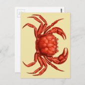 ヴィンテージカニデザイン ポストカード (正面/裏面)