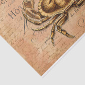 ヴィンテージカニフランスのハガキ分離組織パップ 薄葉紙 (詳細)