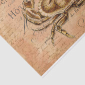 ヴィンテージカニフランスの葉書の分離 薄葉紙 (詳細)