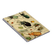 ヴィンテージカブトムシイラストレーション ノートブック (右側)