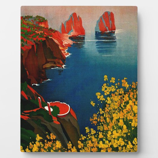 ヴィンテージカプリリゾラデルソレイタリア フォトプラーク (正面)