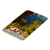 ヴィンテージカプリリゾラデルソレイタリア マグネット (左側)