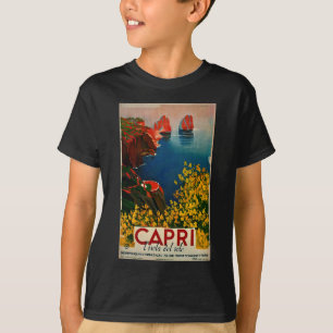 ヴィンテージカプリリゾラデルソレイタリア Tシャツ