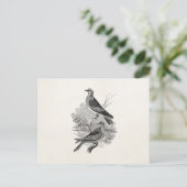 ヴィンテージカマドウズバードウブパーソナライズされたバード ポストカード (スタンド正面)