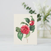 ヴィンテージカメリアジャポニカボタニカルイラストレーション ポストカード (スタンド正面)