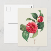 ヴィンテージカメリアジャポニカボタニカルイラストレーション ポストカード (正面/裏面)